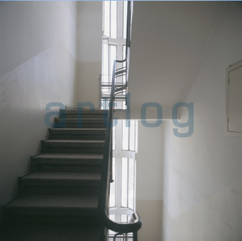 Loading Image